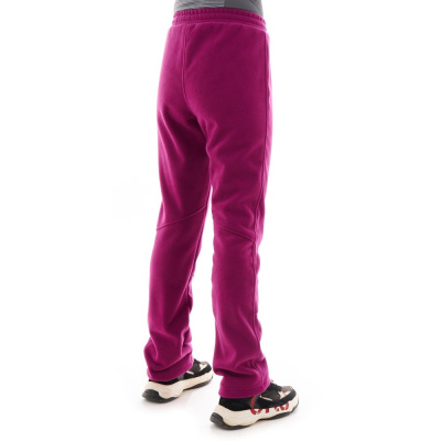 Женские флисовые брюки Dragonfly Level. Purple Black от магазина Адреналин