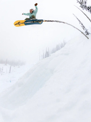 Крепления для сноуборда Jones Mercury FASE Blue Art от магазина Адреналин