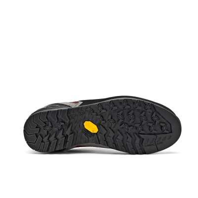 Треккинговые ботинки женские Asolo Alpine Apex Gv Donkey/Gerbera